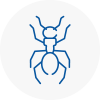 Ant Removals In Raunds