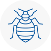 Bed Bug Extermination In Raunds