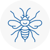 Raunds Hornet Nest Removals