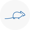 Mice Exterminators In Raunds