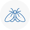 Moth Control Specialists In Raunds