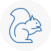 Raunds Rodent Removals